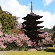 destination_yamaguchi_top