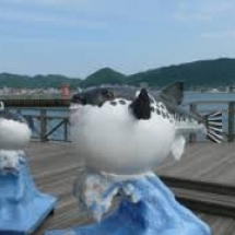 images (1)