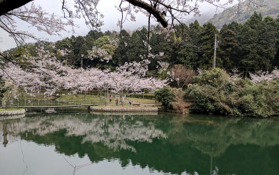 IMG_20170408_154537_1