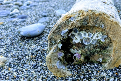 IMG_20180322_155703-EFFECTS IMG_20180322_155703-EFFECTS