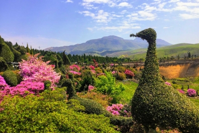 IMG_0480-EFFECTS IMG_0480-EFFECTS