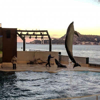 IMG_20171201_164605_1