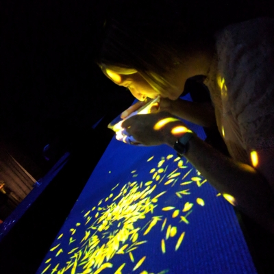 IMG_20180827_135050 IMG_20180827_135050