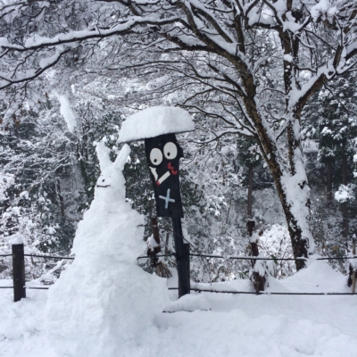 32A7149F-8D91-4315-8380-7F37623ACCA0