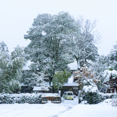 52FCA12B-D17B-45EF-AFE6-0122C41FCBE4