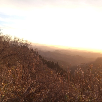 7359D179-C9ED-4AA9-AB96-038B2B1FB82C