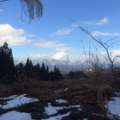 9952F613-97C6-4214-80E3-053C3F3C2F0D