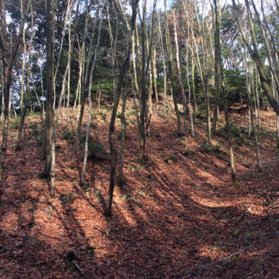 BFA21C24-7D8C-44F3-9E21-730060083A73