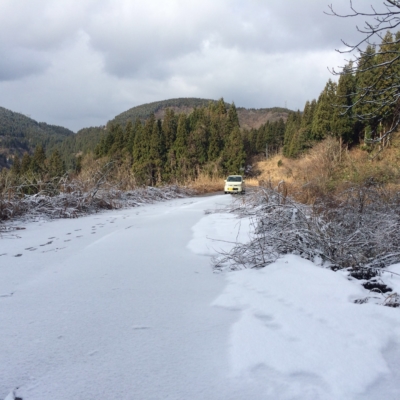 E0C34FE9-9C3F-4893-8D6C-E6A67A5C8AF8