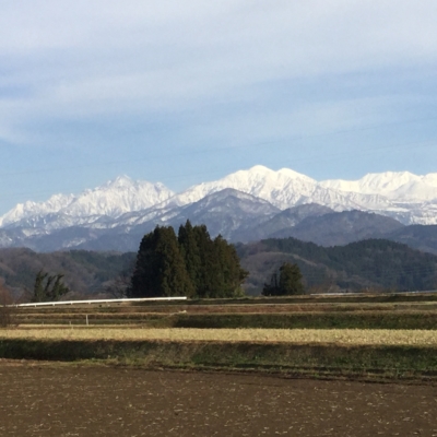 EBEBF19A-38AF-483C-8571-E375270E603F