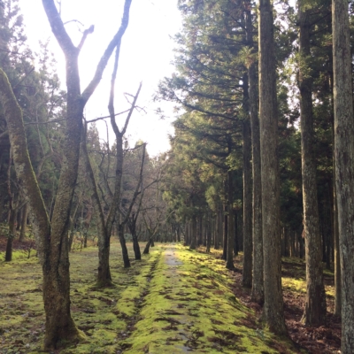 F5231C2F-2F83-4789-A720-4AB17D9F1B54