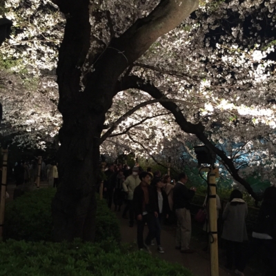 1481F647-F84D-426B-945E-B4C09EB0475D