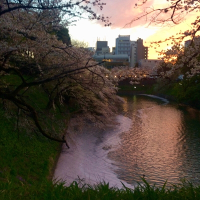 1F5FE266-44AC-45F5-8171-DD7D6CD4907C