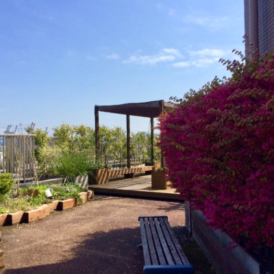 3FE8A30A-0523-4E19-8A37-1D97B5A74263