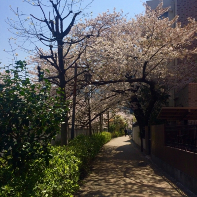 45508549-CDFF-4524-A29E-059B9B8603A8