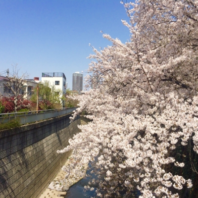 5D9F8F64-6D84-442D-BBB9-A1A218C0CA32