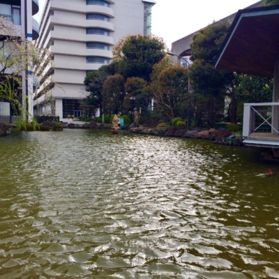 A3445111-C418-4F6D-A5B3-977D31A96B81