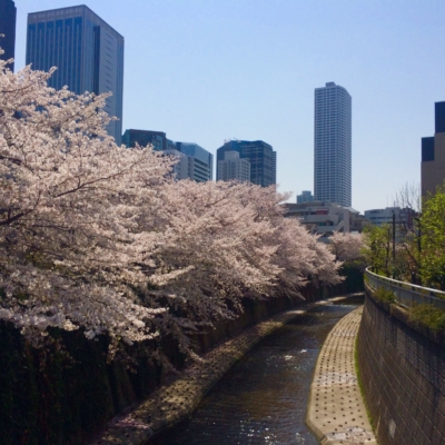 C58CF74D-4345-47FD-B65B-4DEDB11BE034