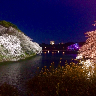 CFADC04A-3935-4030-B98A-6E29BE0FC770